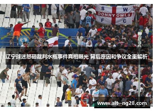 辽宁球迷怒砸裁判水瓶事件真相曝光 背后原因和争议全面解析
