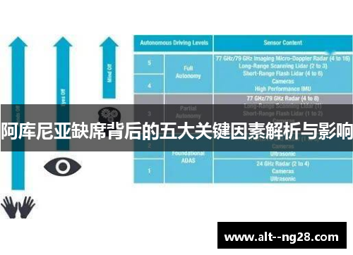 阿库尼亚缺席背后的五大关键因素解析与影响