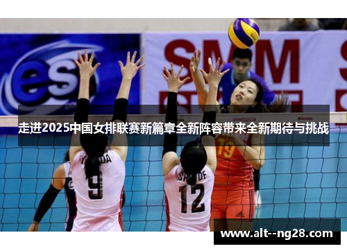 走进2025中国女排联赛新篇章全新阵容带来全新期待与挑战
